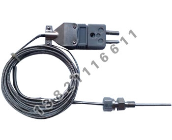 仿進(jìn)口鎧裝熱電偶